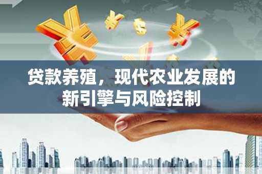 克孜勒苏柯尔克孜贷款养殖，现代农业发展的新引擎与风险控制