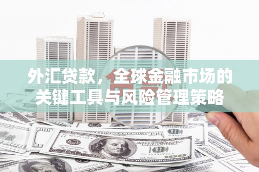 克孜勒苏柯尔克孜外汇贷款，全球金融市场的关键工具与风险管理策略