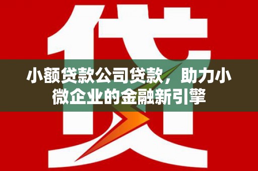 克孜勒苏柯尔克孜小额贷款公司贷款，助力小微企业的金融新引擎