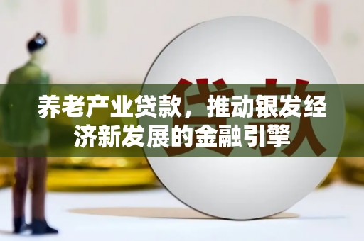 克孜勒苏柯尔克孜养老产业贷款，推动银发经济新发展的金融引擎