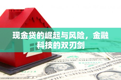克孜勒苏柯尔克孜现金贷的崛起与风险，金融科技的双刃剑