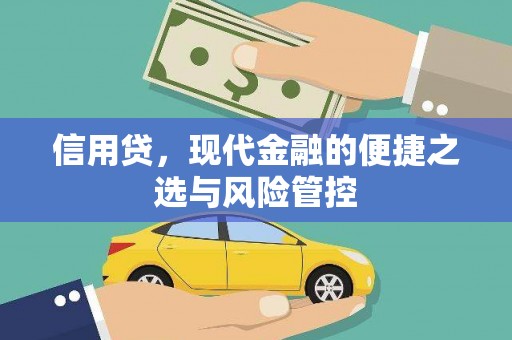 克孜勒苏柯尔克孜信用贷，现代金融的便捷之选与风险管控