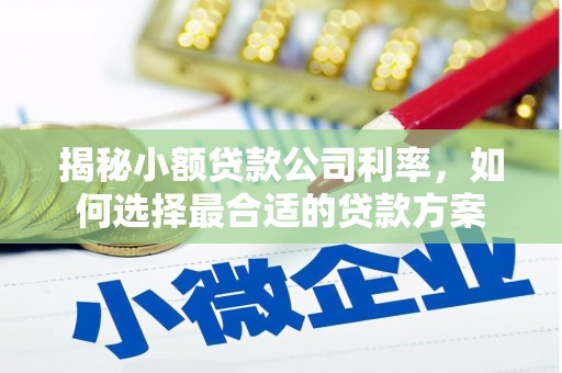 克孜勒苏柯尔克孜揭秘小额贷款公司利率，如何选择最合适的贷款方案
