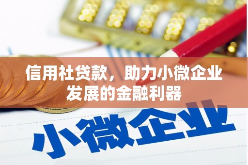 克孜勒苏柯尔克孜信用社贷款，助力小微企业发展的金融利器