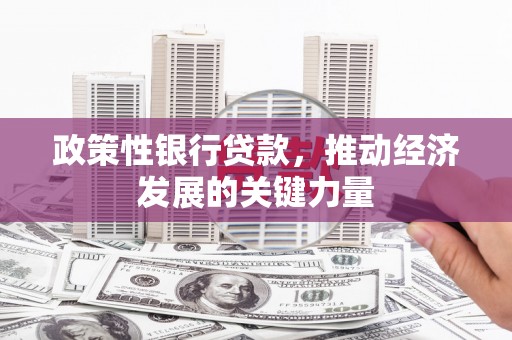 克孜勒苏柯尔克孜政策性银行贷款，推动经济发展的关键力量