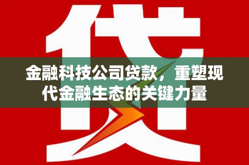 克孜勒苏柯尔克孜金融科技公司贷款，重塑现代金融生态的关键力量