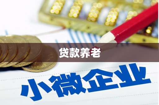 克孜勒苏柯尔克孜贷款养老