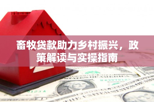 克孜勒苏柯尔克孜畜牧贷款助力乡村振兴，政策解读与实操指南
