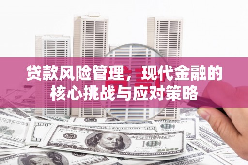 克孜勒苏柯尔克孜贷款风险管理，现代金融的核心挑战与应对策略