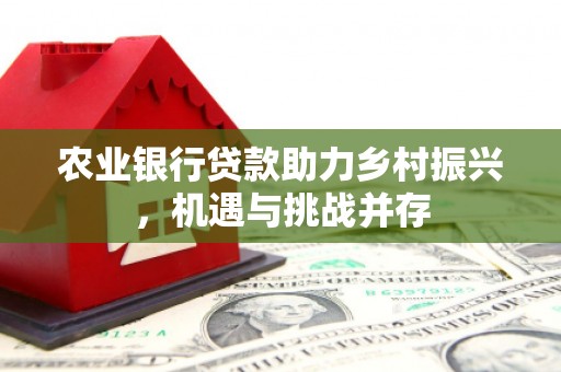 克孜勒苏柯尔克孜农业银行贷款助力乡村振兴，机遇与挑战并存