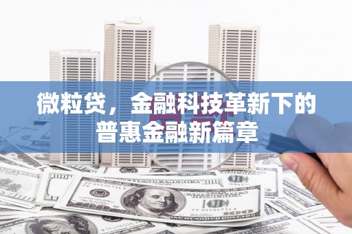 克孜勒苏柯尔克孜微粒贷，金融科技革新下的普惠金融新篇章