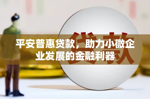 克孜勒苏柯尔克孜平安普惠贷款，助力小微企业发展的金融利器