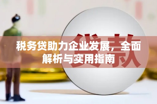 克孜勒苏柯尔克孜税务贷助力企业发展，全面解析与实用指南