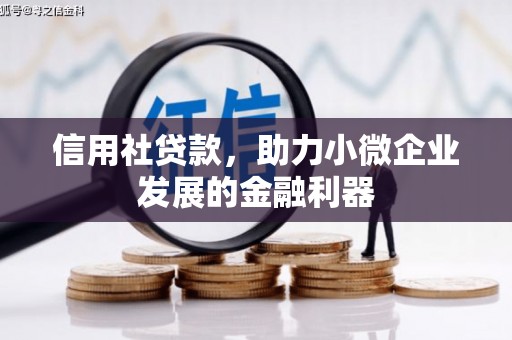 克孜勒苏柯尔克孜信用社贷款，助力小微企业发展的金融利器