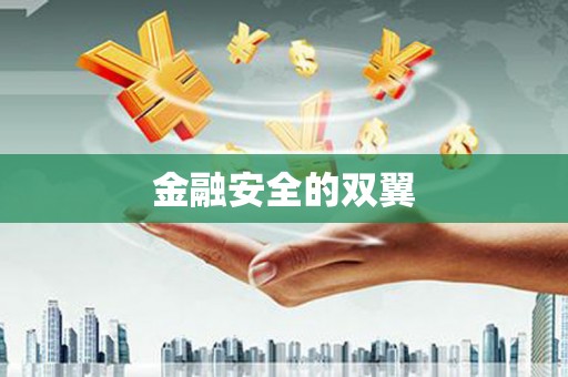 克孜勒苏柯尔克孜金融安全的双翼