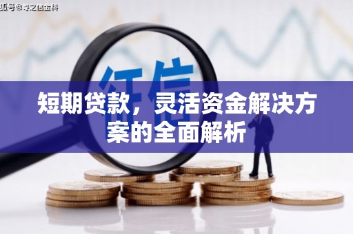 克孜勒苏柯尔克孜短期贷款，灵活资金解决方案的全面解析