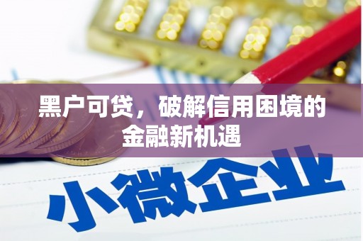 克孜勒苏柯尔克孜黑户可贷，破解信用困境的金融新机遇
