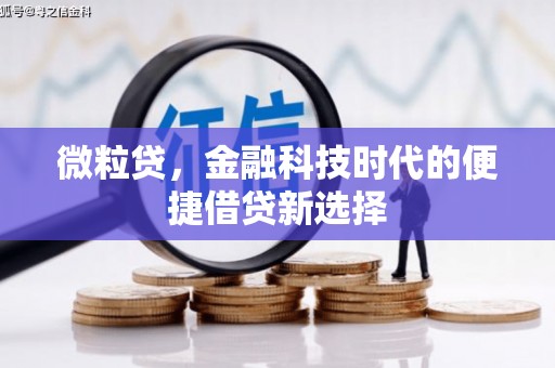 克孜勒苏柯尔克孜微粒贷，金融科技时代的便捷借贷新选择