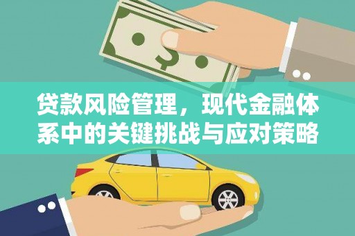 克孜勒苏柯尔克孜贷款风险管理，现代金融体系中的关键挑战与应对策略