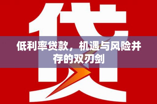 克孜勒苏柯尔克孜低利率贷款，机遇与风险并存的双刃剑