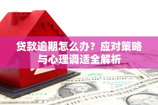 克孜勒苏柯尔克孜贷款逾期怎么办？应对策略与心理调适全解析