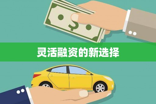 克孜勒苏柯尔克孜灵活融资的新选择