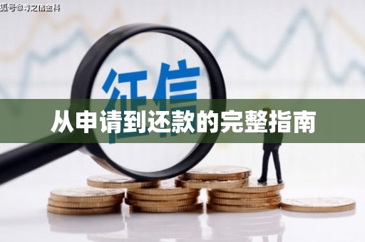 克孜勒苏柯尔克孜从申请到还款的完整指南