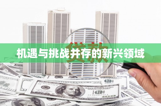 克孜勒苏柯尔克孜机遇与挑战并存的新兴领域