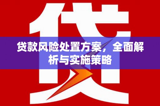 克孜勒苏柯尔克孜贷款风险处置方案，全面解析与实施策略