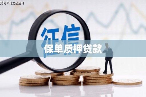 克孜勒苏柯尔克孜保单质押贷款
