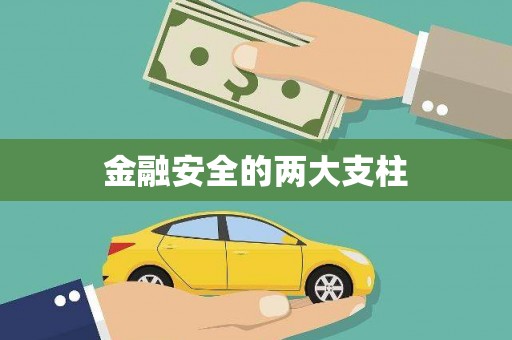 克孜勒苏柯尔克孜金融安全的两大支柱