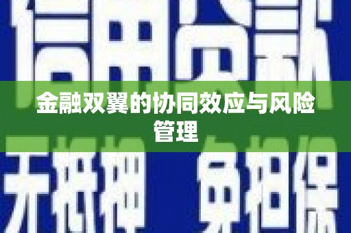 克孜勒苏柯尔克孜金融双翼的协同效应与风险管理