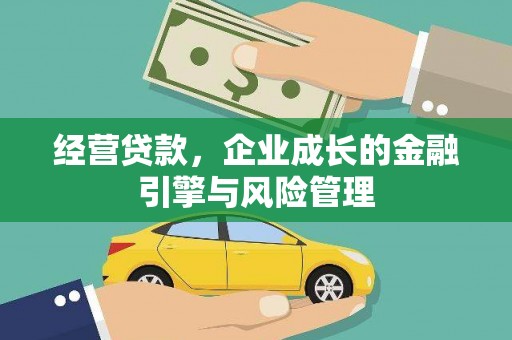 克孜勒苏柯尔克孜经营贷款，企业成长的金融引擎与风险管理