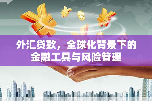 克孜勒苏柯尔克孜外汇贷款，全球化背景下的金融工具与风险管理