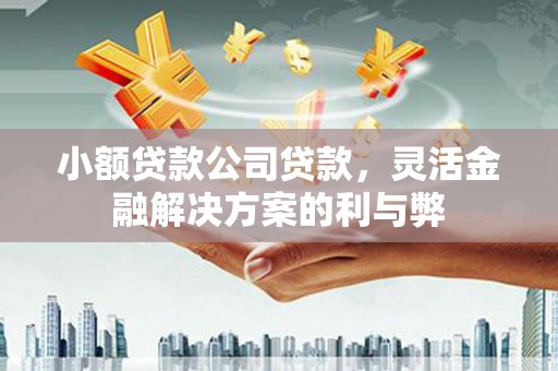 克孜勒苏柯尔克孜小额贷款公司贷款，灵活金融解决方案的利与弊