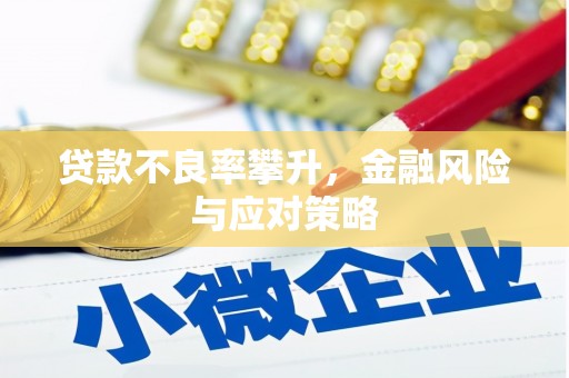 克孜勒苏柯尔克孜贷款不良率攀升，金融风险与应对策略