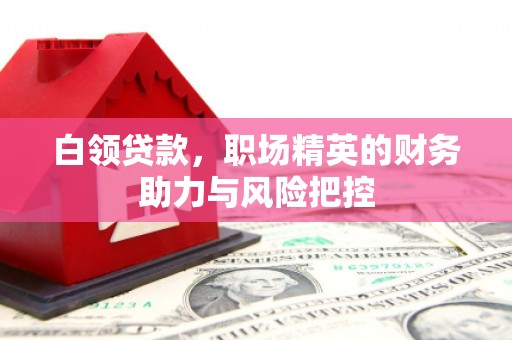 克孜勒苏柯尔克孜白领贷款，职场精英的财务助力与风险把控