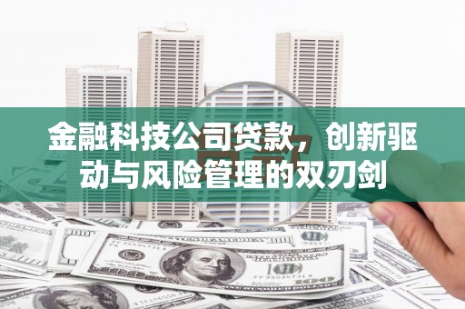 克孜勒苏柯尔克孜金融科技公司贷款，创新驱动与风险管理的双刃剑